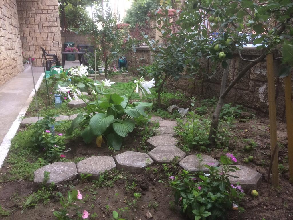 קונסטנצה Villa 3 Papuci מראה חיצוני תמונה